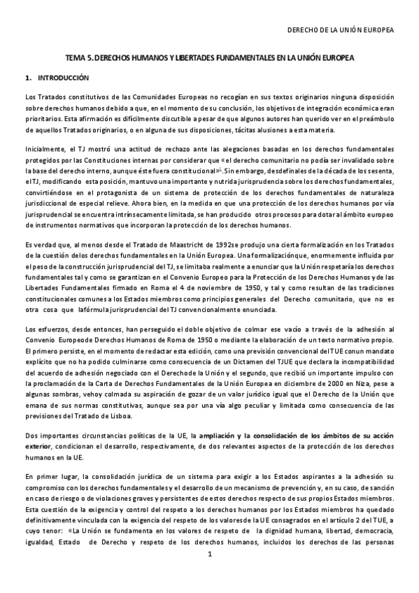 Miniatura del documento TEMA-5.-DERECHOS-HUMANOS-Y-LIBERTADES-FUNDAMENTALES-EN-LA-UNION-EUROPEA.pdf