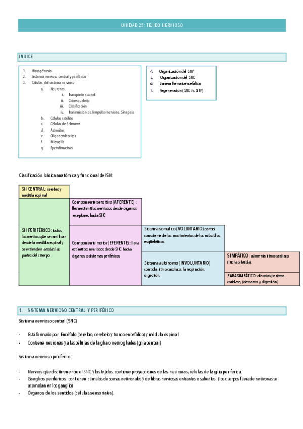 Miniatura del documento histologia-tema-25.pdf