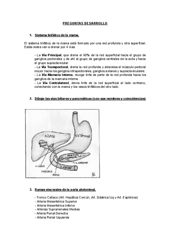 Miniatura del documento Preguntas-de-Examenes-Anatomia-General.pdf