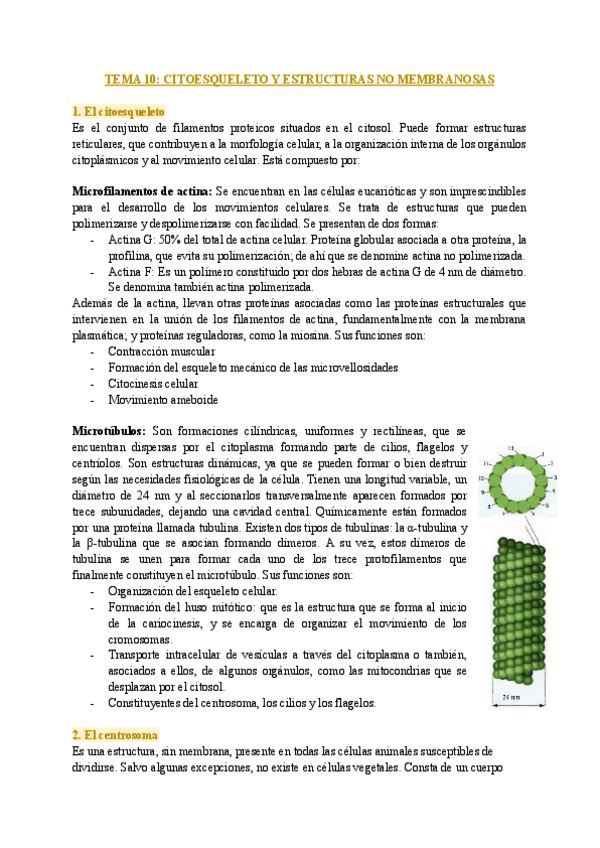 Miniatura del documento TEMA-10-CITOESQUELETO-Y-ESTRUCTURAS-NO-MEMBRANOSAS-1.pdf