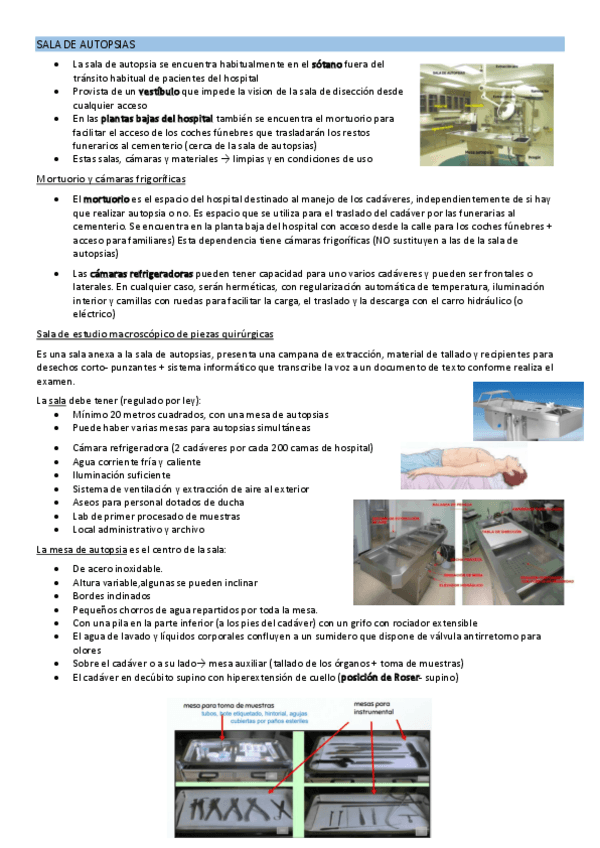 Miniatura del documento T.1.2-SALA-DE-AUTOPSIAS.pdf