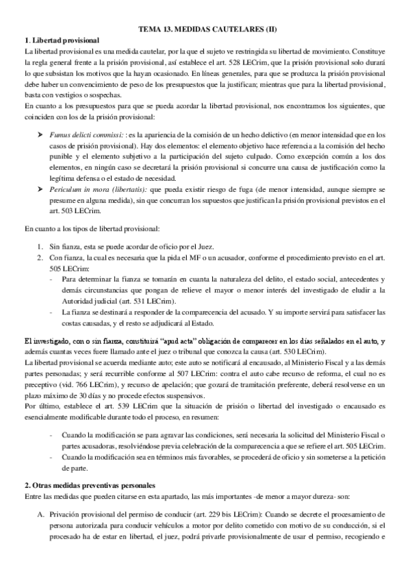 Miniatura del documento TEMA-13.-MEDIDAS-CAUTELARES-II.pdf