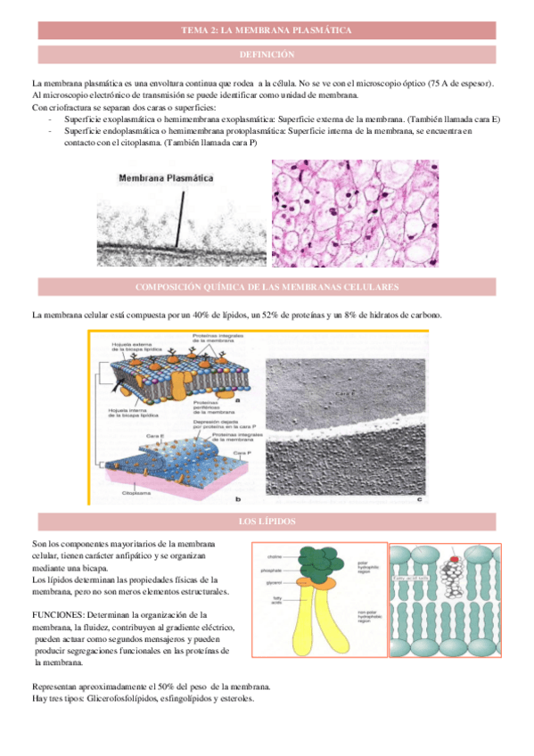 Miniatura del documento tema-2.2-cito.pdf