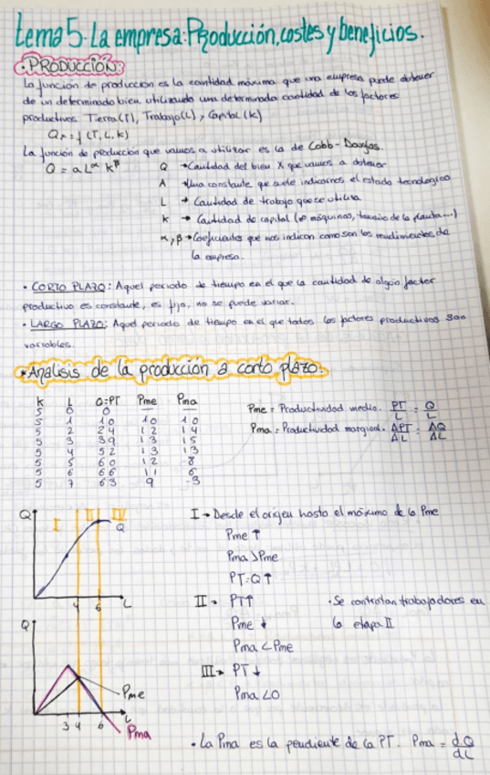 Miniatura del documento tema5.-la-empresa-Produccion-costes-y-beneficios.pdf