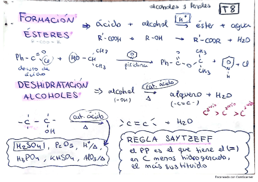Miniatura del documento tema-8-alcoholes-y-fenoles.pdf