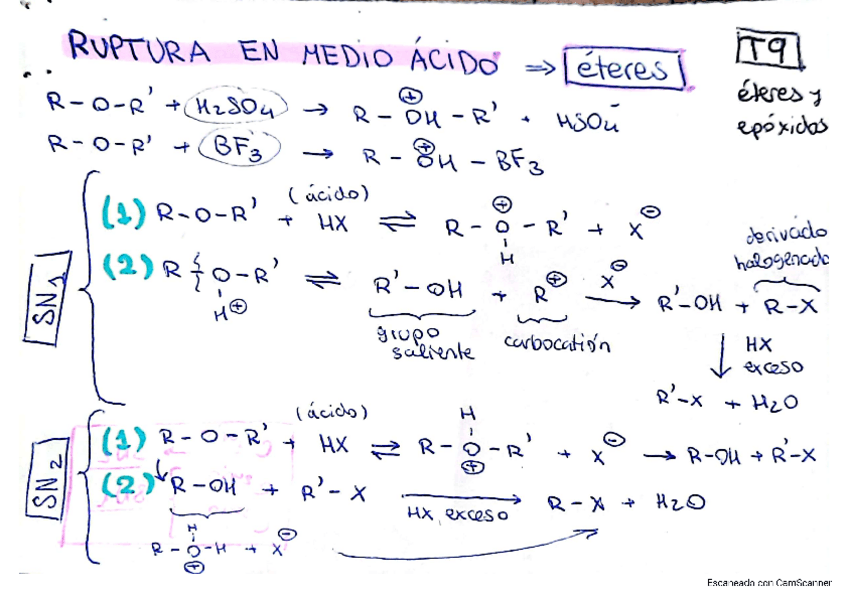 Miniatura del documento tema-9-eteres-y-epoxidos.pdf