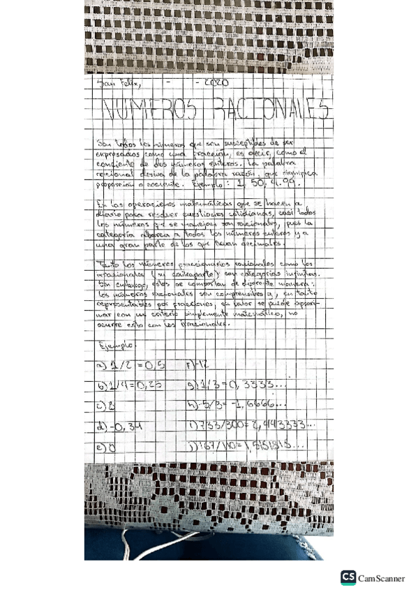 Miniatura del documento Numeros-RacionalesIrracionales-y-Aproximacion.pdf