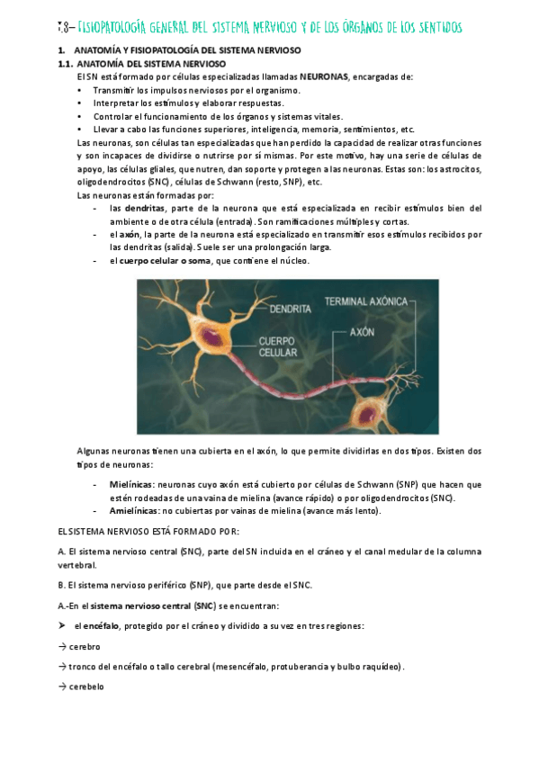 Miniatura del documento U8.-FISIO.pdf