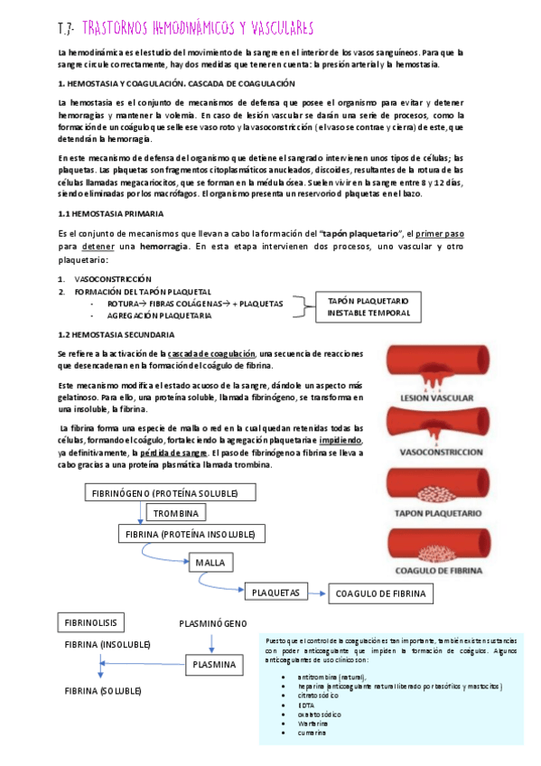 Miniatura del documento UNIDAD-7-FISIO.pdf