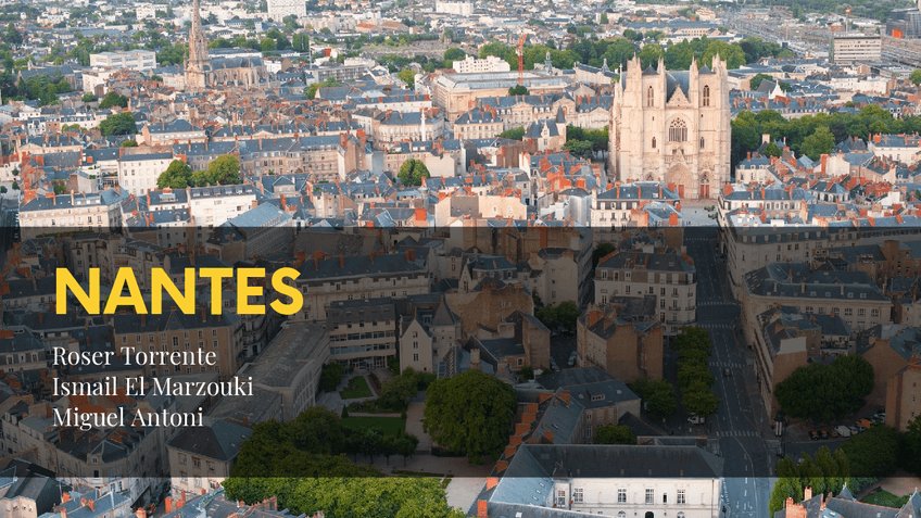 Miniatura del documento NANTES-1.pdf