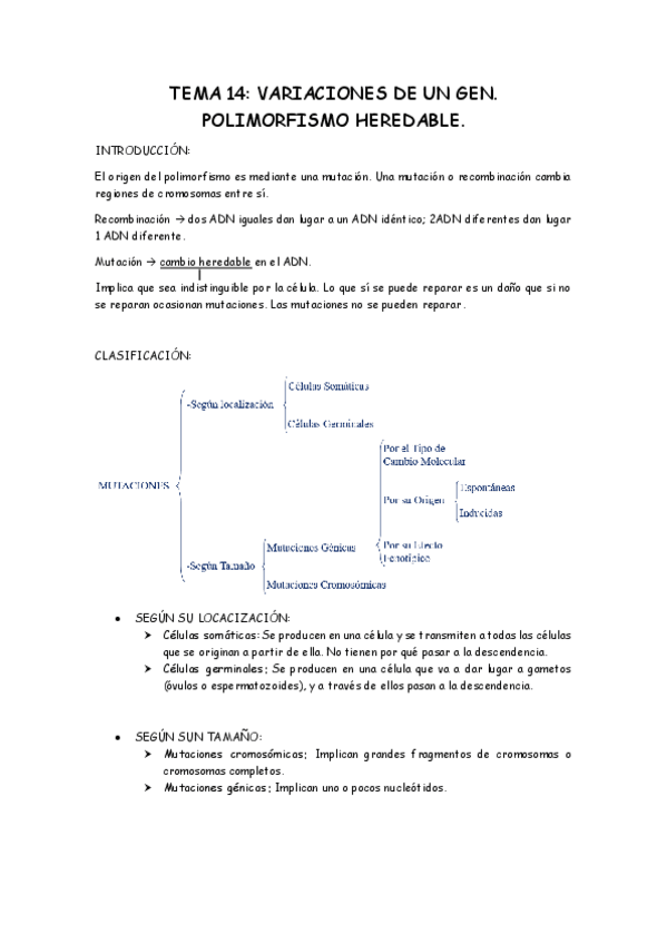 Miniatura del documento TEMA 14 biologia.pdf