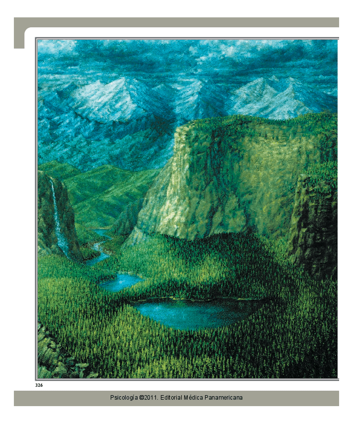 Miniatura del documento Psicologia-Myers-capitulo-MEMORIA.pdf