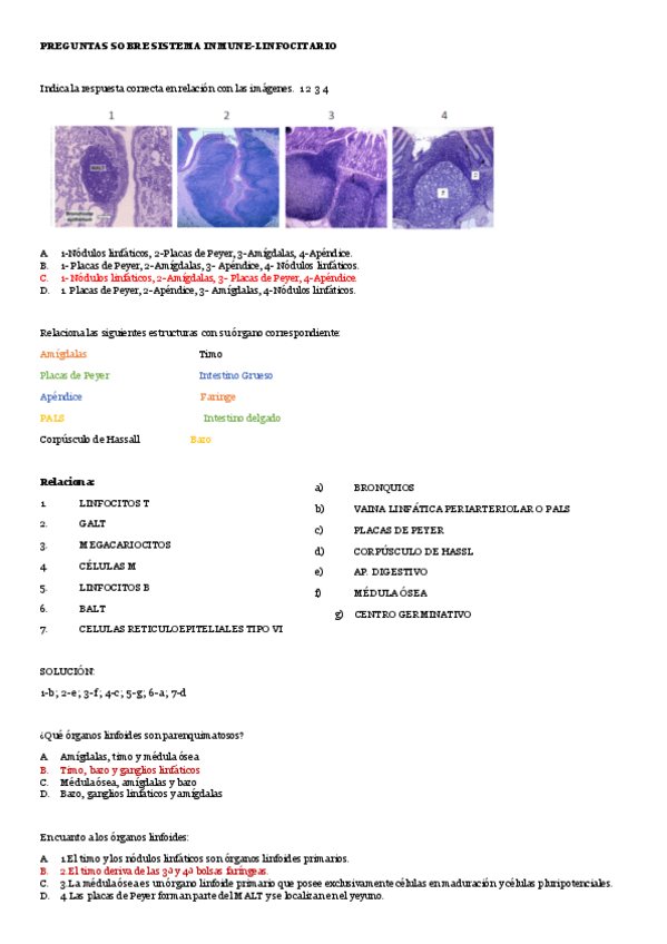 Miniatura del documento preguntas-alumnos-BM-linfoide.pdf