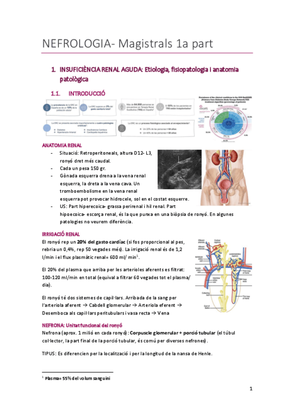 Miniatura del documento NEFRO-1a-part.pdf