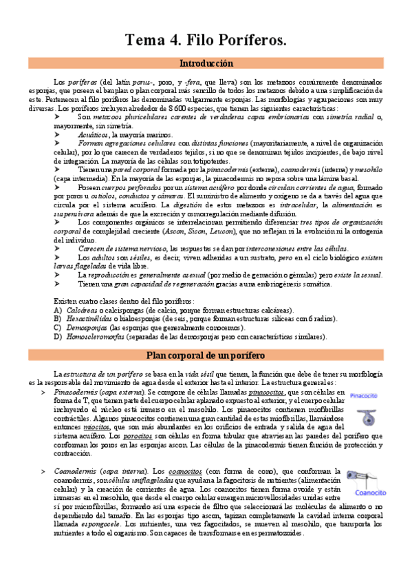 Miniatura del documento TEMA-4-ZOO.pdf