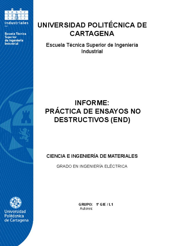 Miniatura del documento Informe-de-practicas-END.docx.pdf