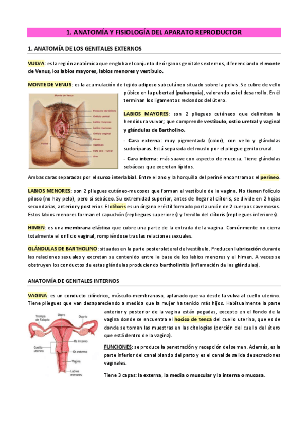 Miniatura del documento MATERNO-PARTE-1.pdf