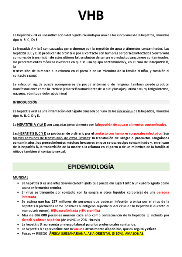 Miniatura del documento VHB-VIP.pdf