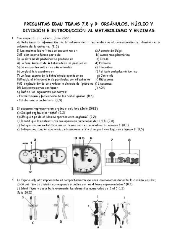 Miniatura del documento Preguntas-EBAU-Celulas.pdf