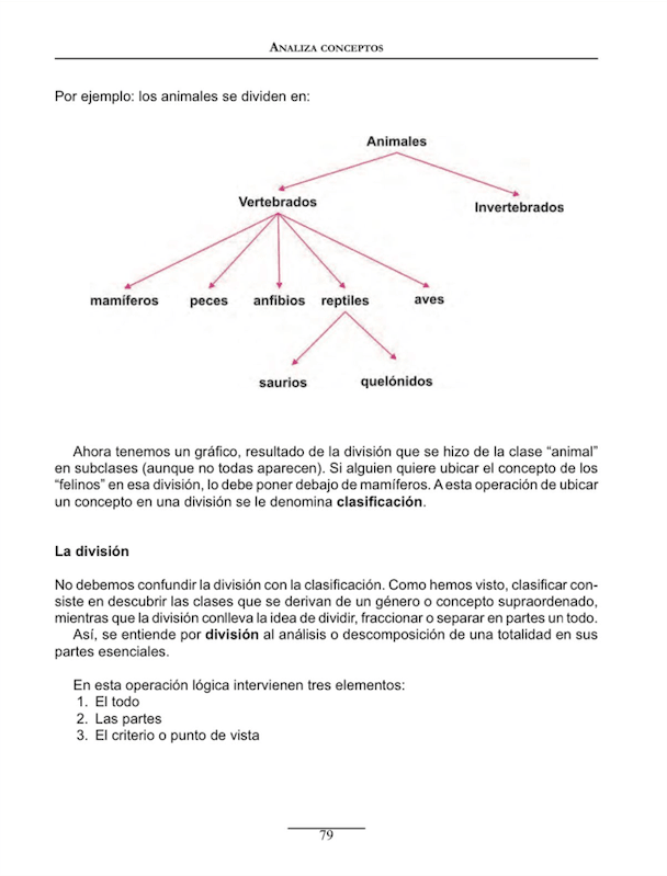 Miniatura del documento Logica-la-division.png