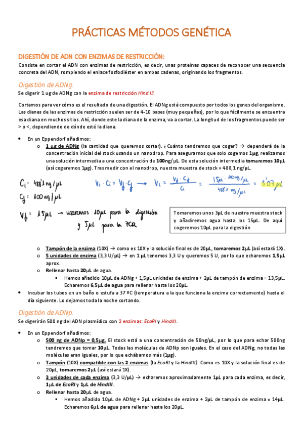 Miniatura del documento Fundamentos-de-las-practicas.pdf