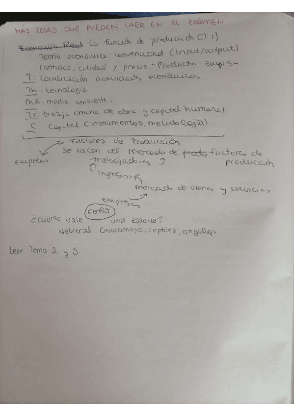 Miniatura del documento resumen-todos-los-temas.pdf