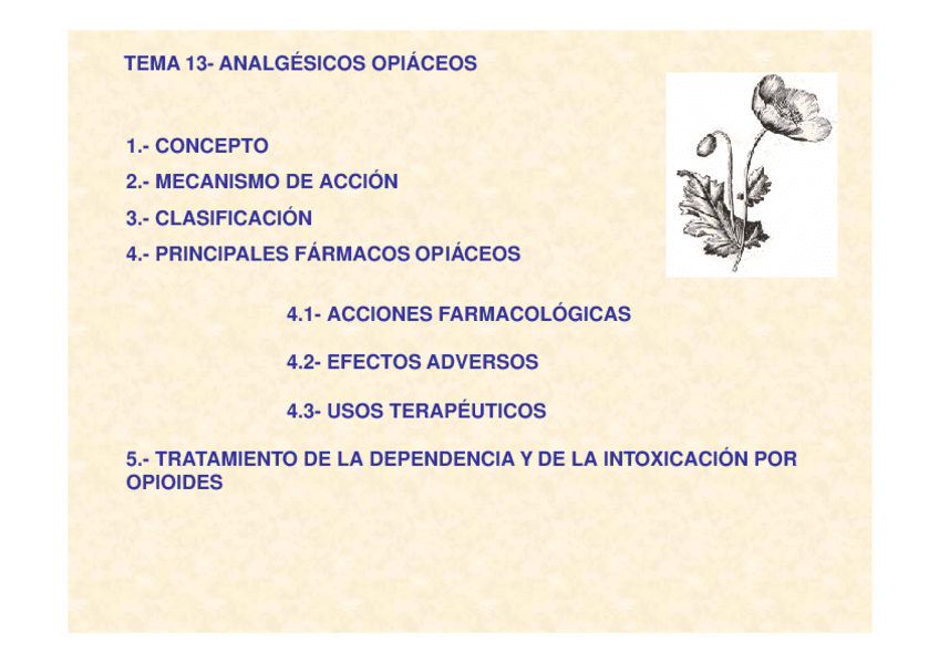 Miniatura del documento 13analgesicosopiodes.pdf