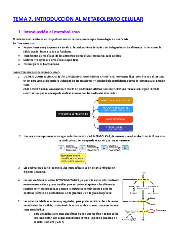 Miniatura del documento 4.-apuntes-completos-biologia-1o-CyTA-27-37.pdf