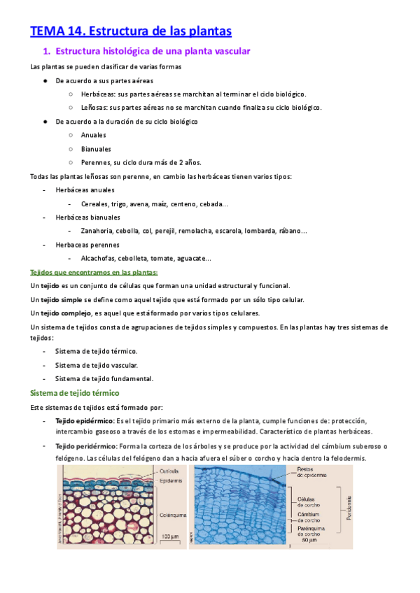 Miniatura del documento 7.-apuntes-completos-biologia-1o-CyTA-66-86.pdf