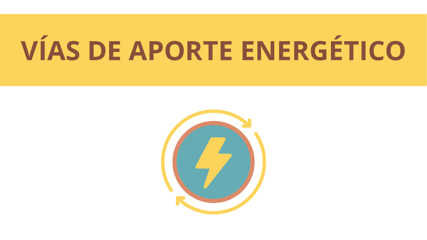 Miniatura del documento presentacion.pdf