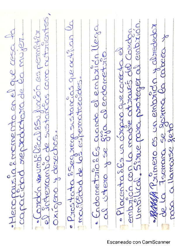 Miniatura del documento Reproduccion-humana.pdf