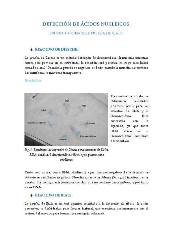Miniatura del documento Cuaderno_prácticas_GM.pdf