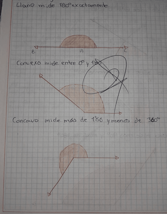 Miniatura del documento WhatsApp-Image-2023-08-19-at-7.29.19-PM-1.jpeg