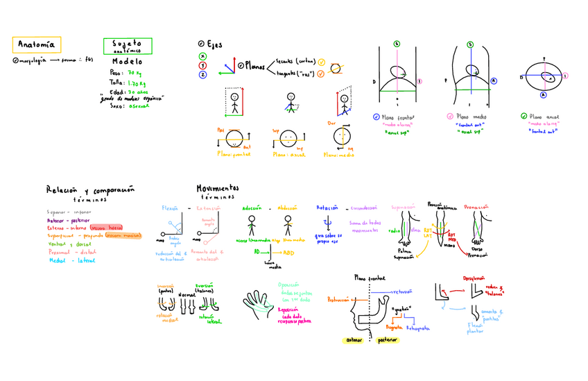 Miniatura del documento Introduccion-osteologia-y-astrologiapart-1.pdf