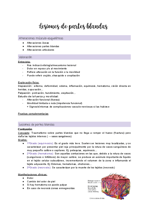 Miniatura del documento Tema-1.3-Lesiones-de-partes-blandas.pdf