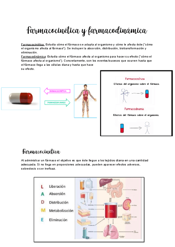 Miniatura del documento Tema-2-y-3-Farmacocinetica-y-farmacodinamica.pdf