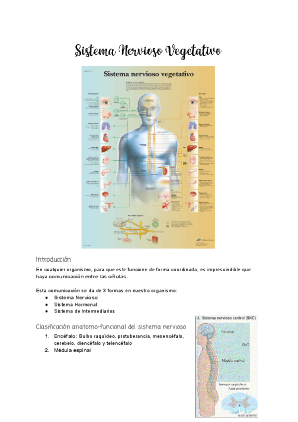 Miniatura del documento Tema-4.2-Farmacologia-del-SN.pdf