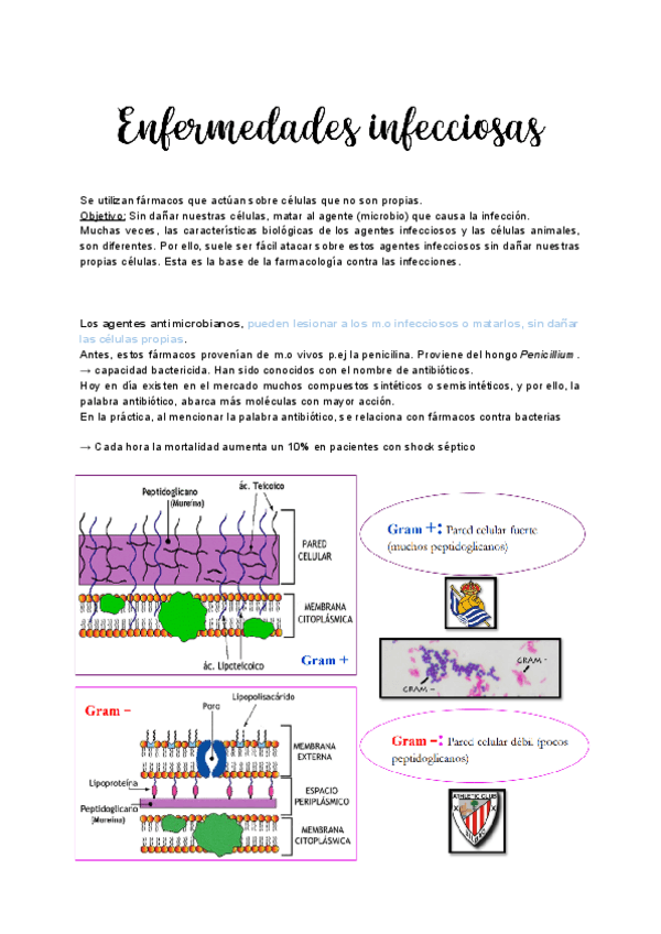 Miniatura del documento Tema-10.1-Enfermedades-infecciosas.pdf