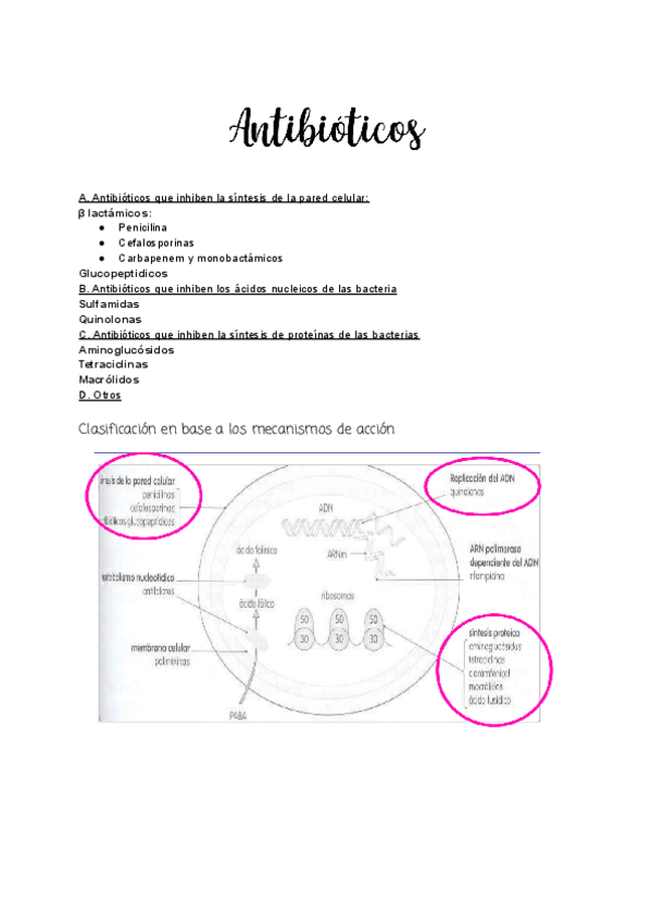 Miniatura del documento Tema-10.2-Antibioticos.pdf