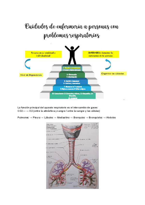 Miniatura del documento Tema-2-Cuidados-de-enfermeria-a-personas-con-problemas-respiratorios.pdf