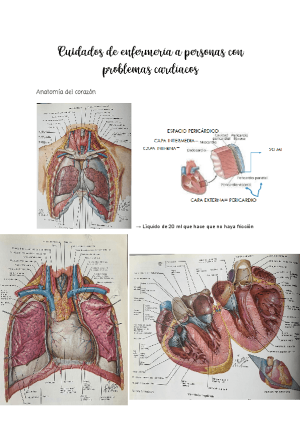 Miniatura del documento T3-Cuidados-de-enfermeria-a-personas-con-problemas-cardiacos-1.pdf