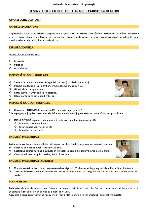 Miniatura del documento TEMA-2-CARDIO.pdf