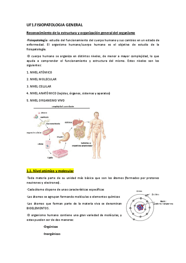 Miniatura del documento Fisiopatologia-generalUF1Tema1.docx.pdf