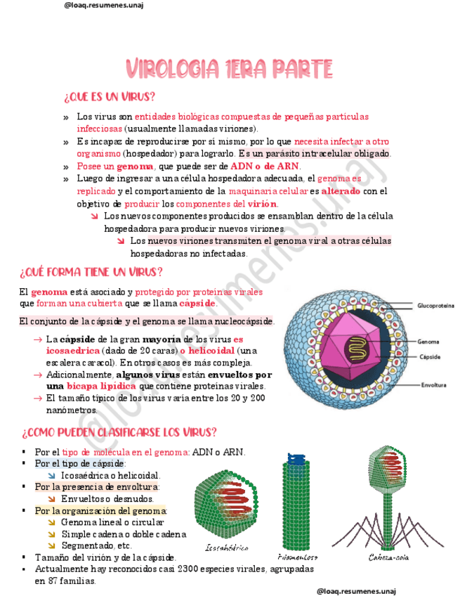 Miniatura del documento VIROLOGIA-I.pdf