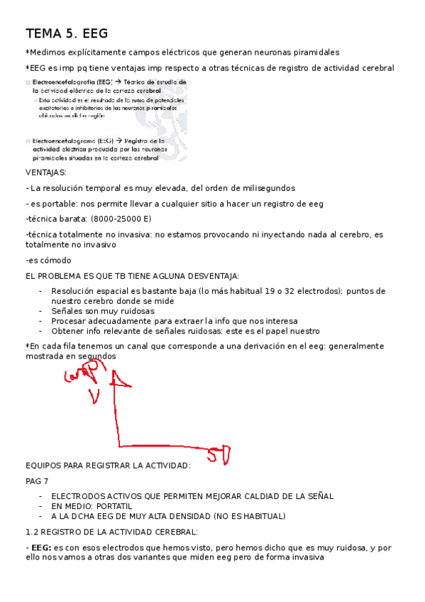 Miniatura del documento TEMA-5-DESARROLLADO.docx