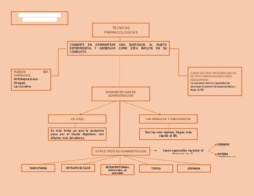 Miniatura del documento Tecnicas-de-investigacion-mapa-mental-1.docx