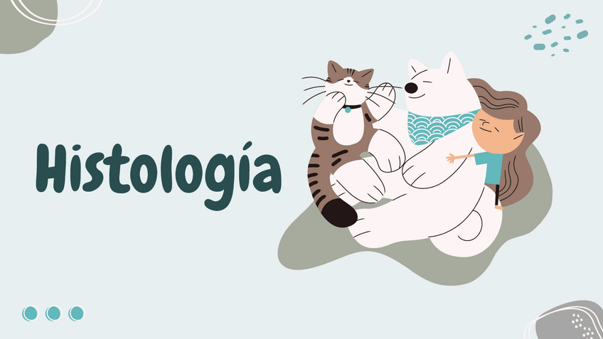 Miniatura del documento Histologia.pdf