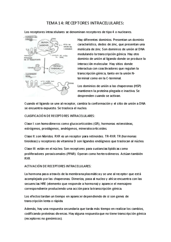 Miniatura del documento TEMA 14.pdf