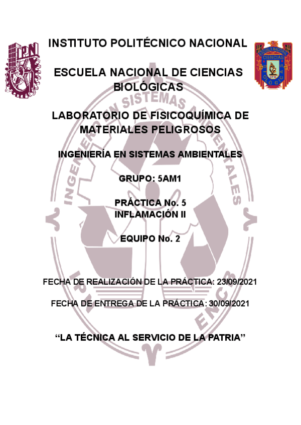 Miniatura del documento P5INFLAMACION-II5AM1.pdf