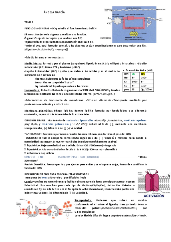Miniatura del documento T1-Membrana-Senalizacion-Uniones-TransporteGeneralidades-de-la-fisiologia.pdf